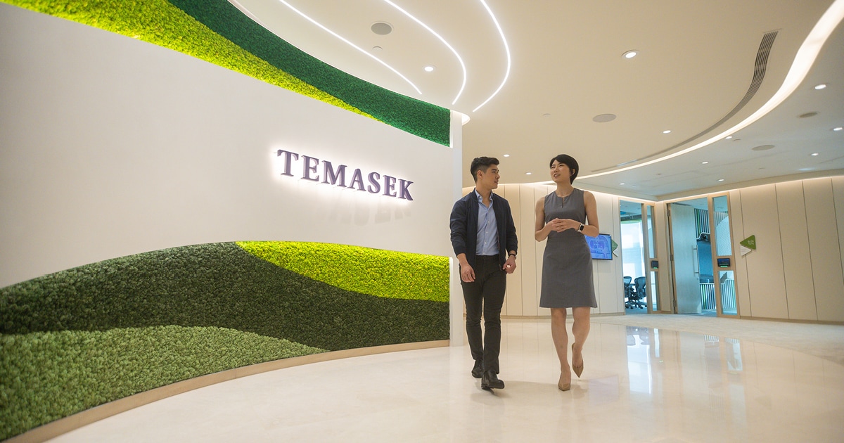 淡马锡概览 - Temasek