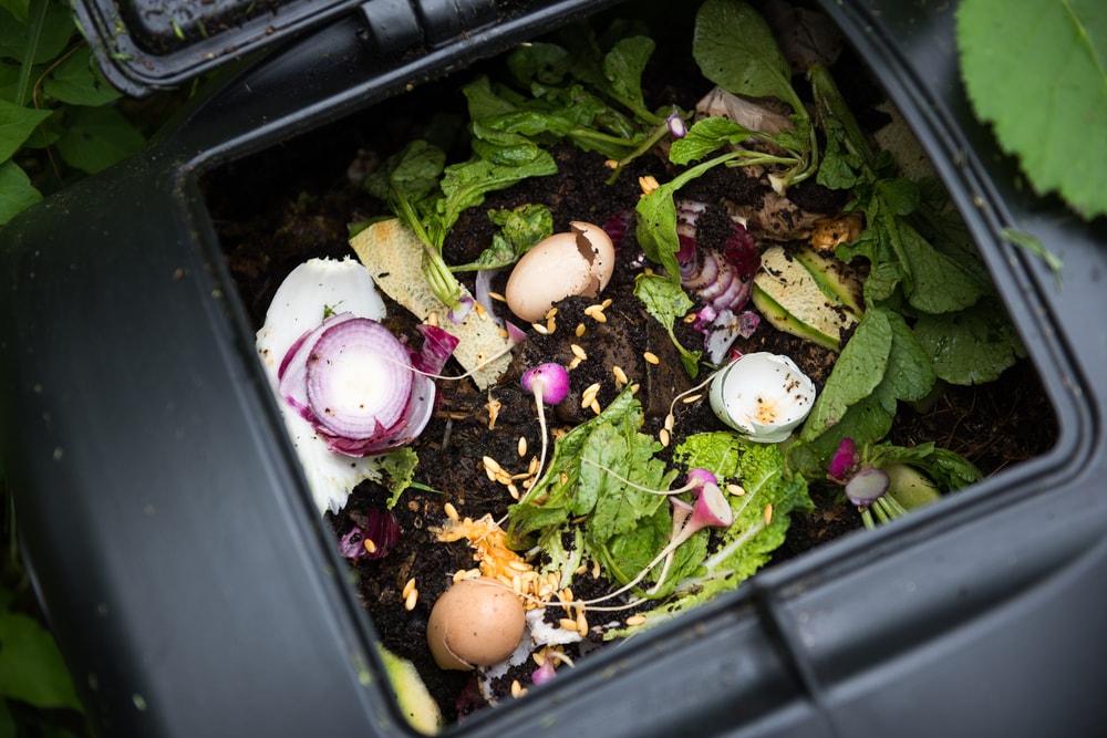 kitchen-compost kitchen waste compost