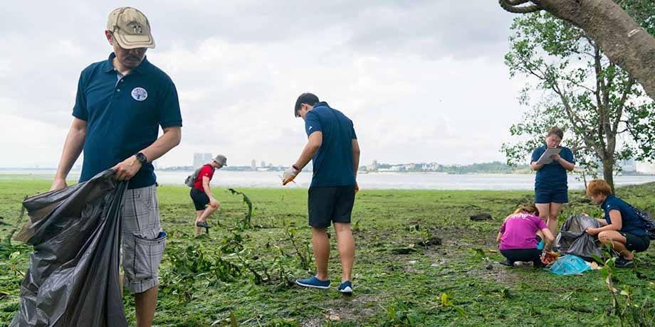 Temasek staff coastal cleanup
