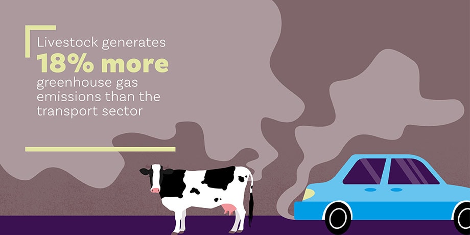 Web Livestock contributes to climate change