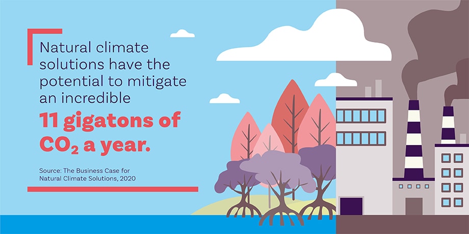 Natural climate solutions infographic on the importance of working together for a greener earth