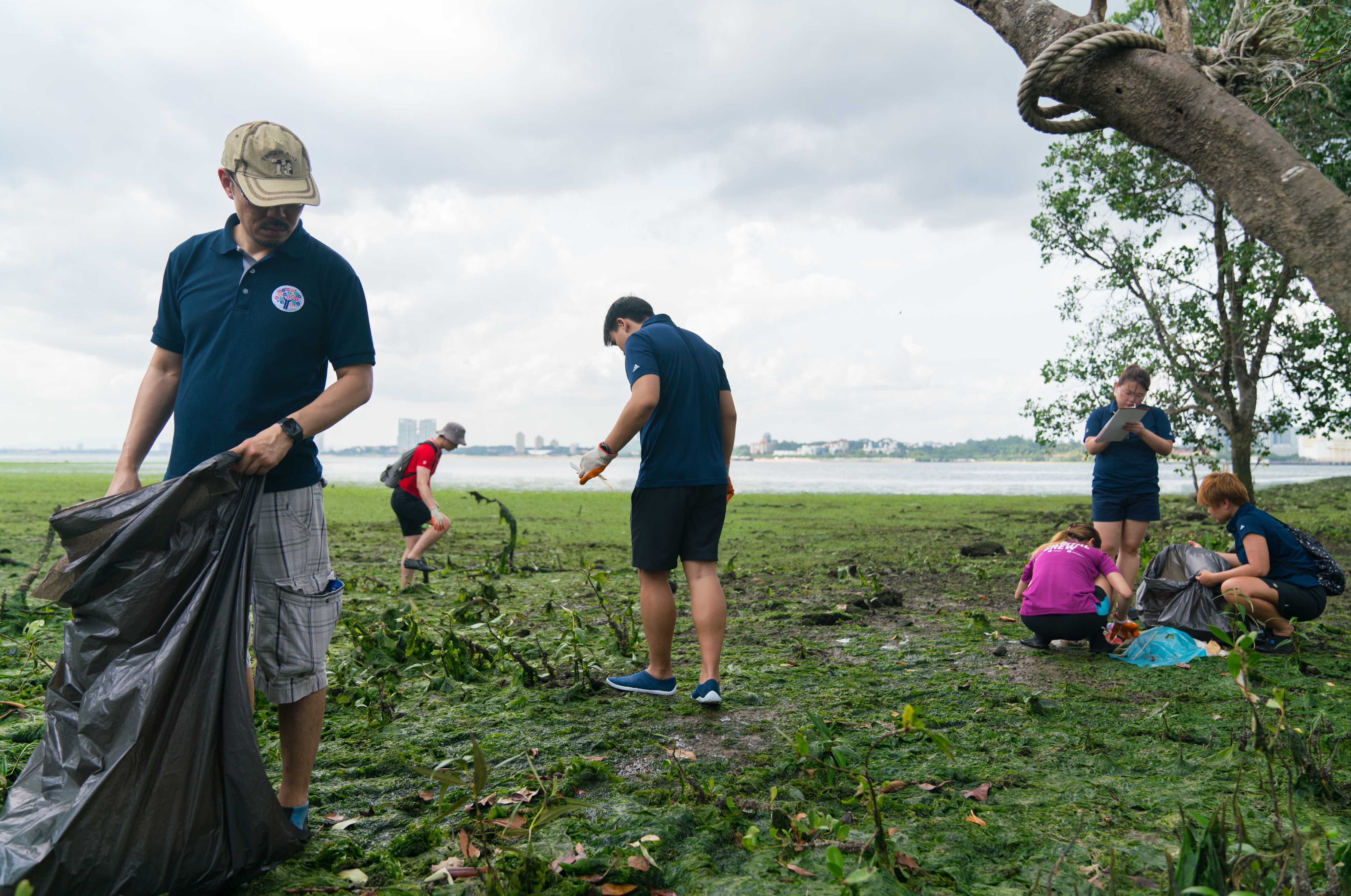 Coastal cleanup at Mandai Mudflats