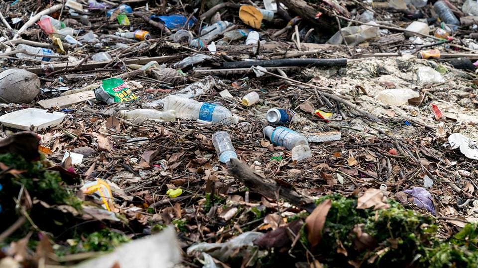 Plastic pollution at Mandai Mudflats