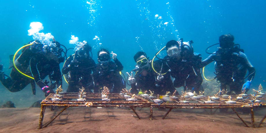 Group photo of the divers at Les