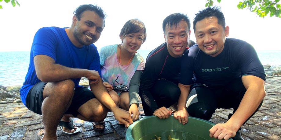 Reef rehabilitation Les Village