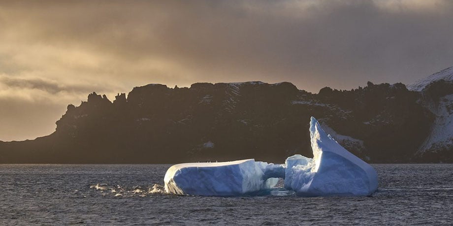 Effects of climate change in Antarctica