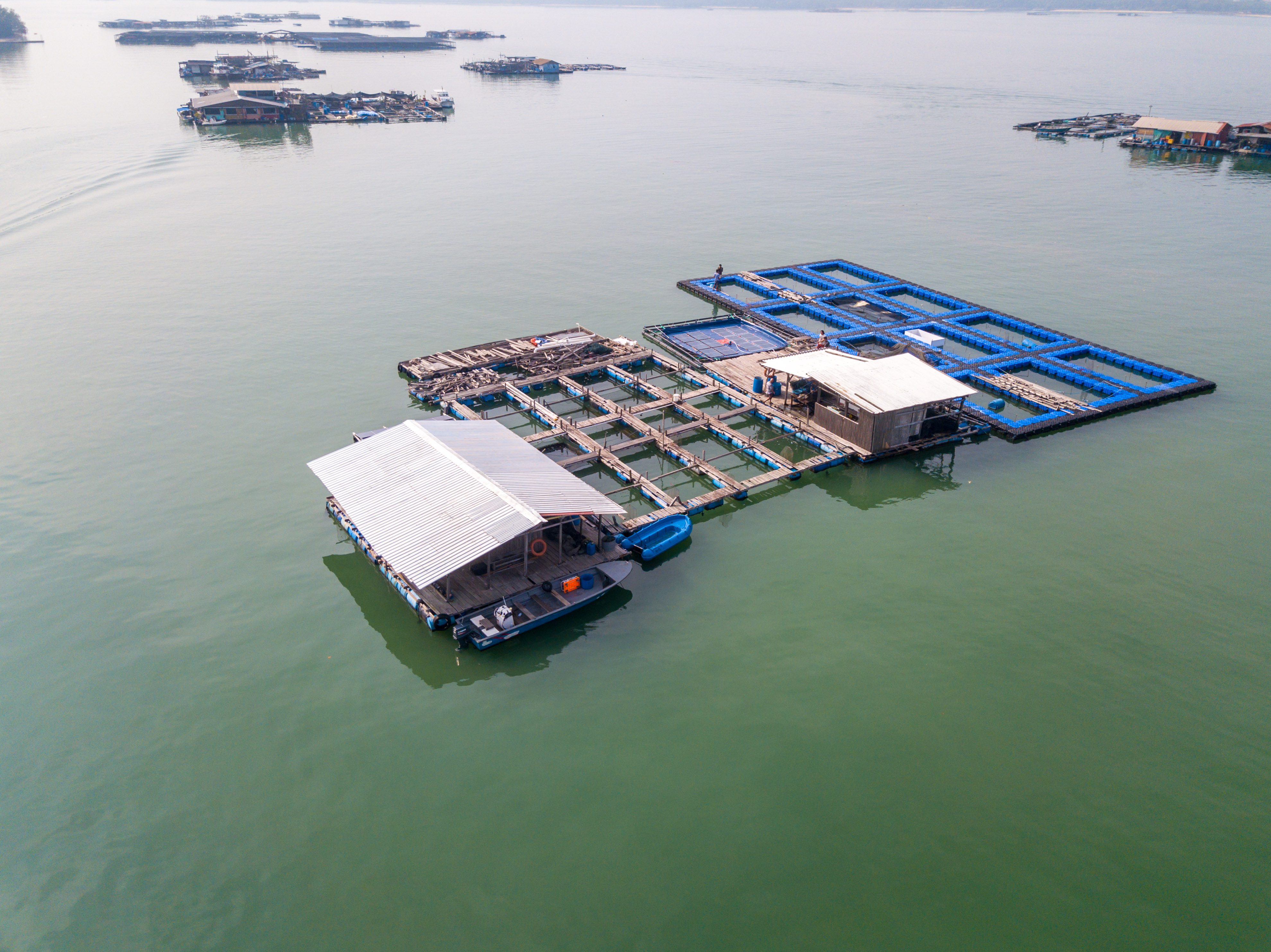 Floating fish farm