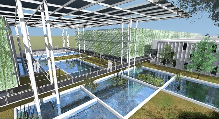 Surbana Jurong’s vertical fish farms 