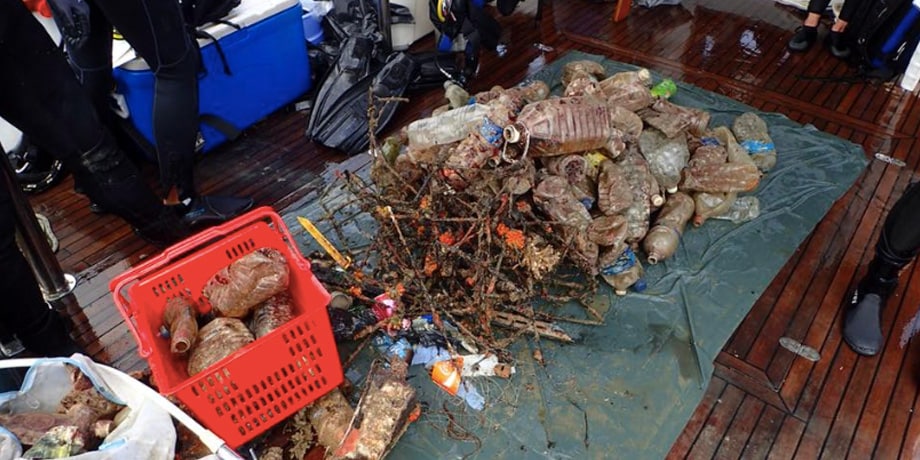 Reef cleanup expedition in Singapore