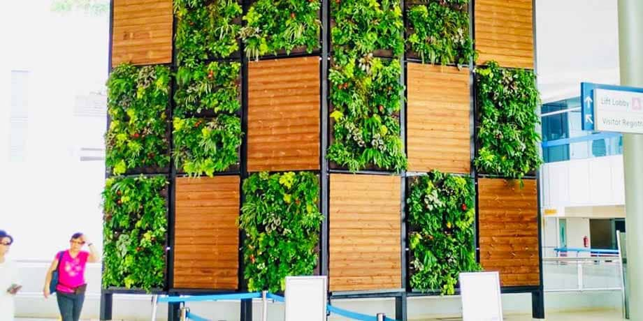 Changi General Hospital’s vertical gardens