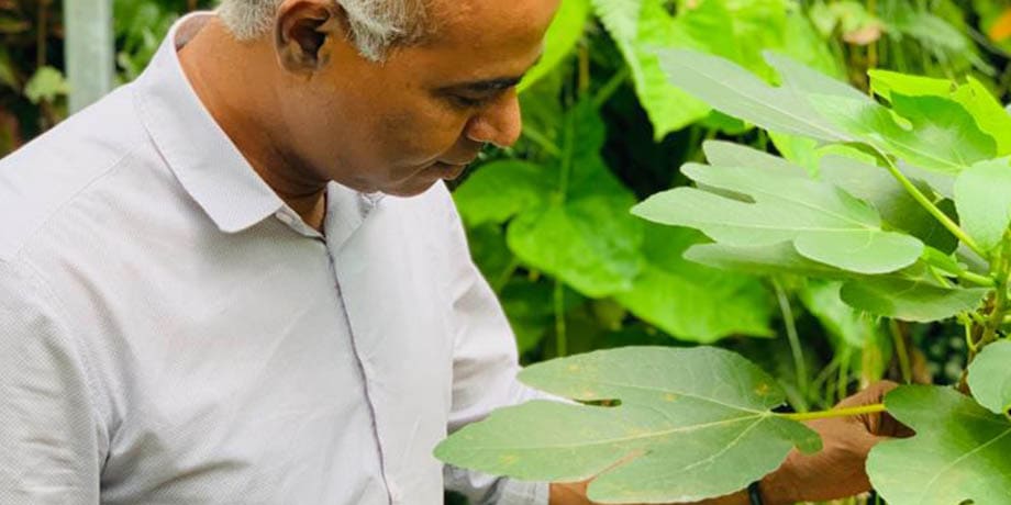 Greenology’s Veera believes in the healing power of nature