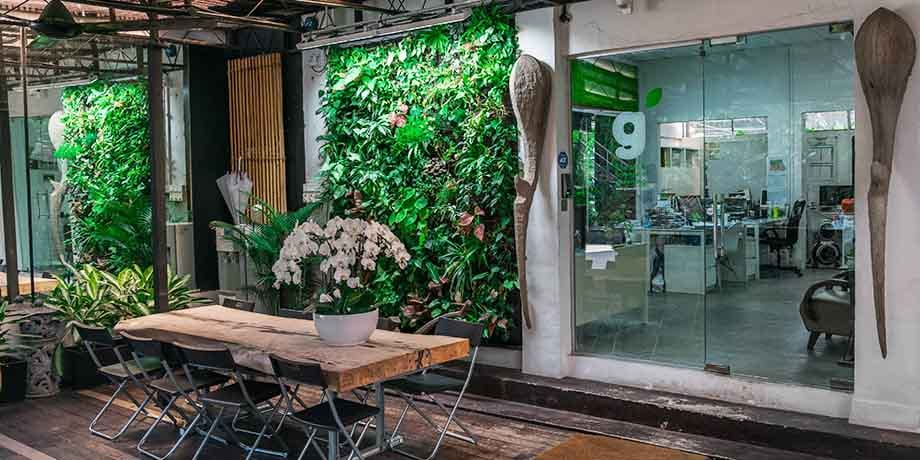 Greenology’s headquarters features lush green walls and urban farms