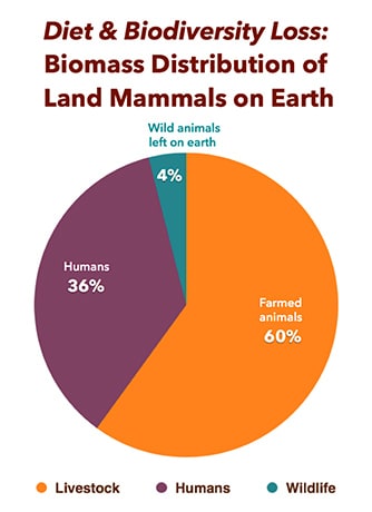 Biomass of land animals