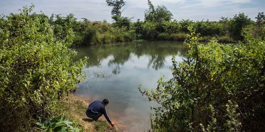 Village pond in rural Cambodia