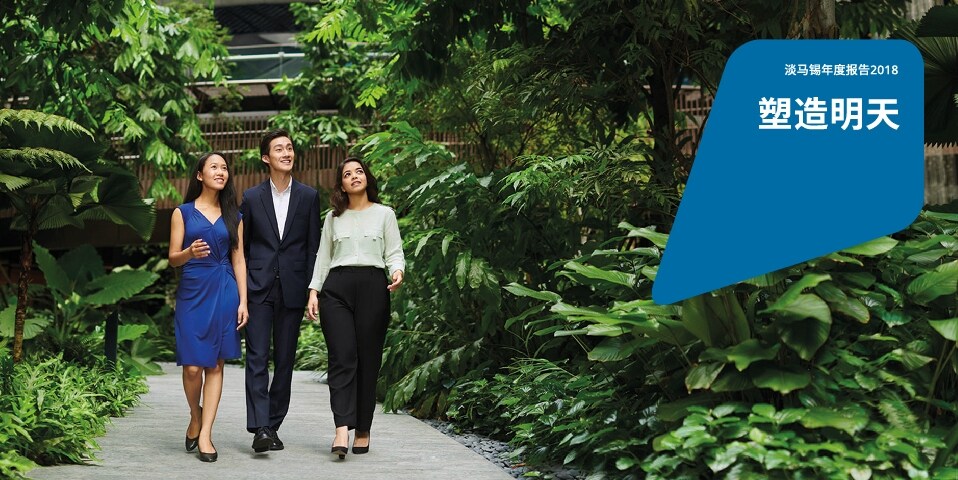 淡马锡投资组合净值创历史新高，达3,080亿新元 - Temasek