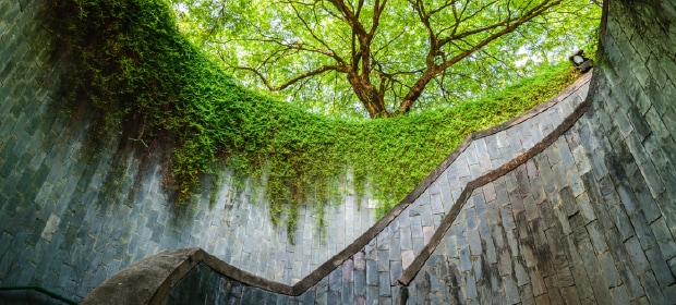 Our Sustainability Journey - related content thumbnail