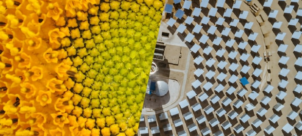 Sustainability at the Core - related content thumbnail