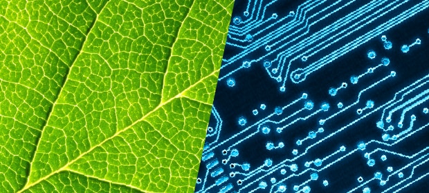 Sustainability in Our Investments - related content thumbnail
