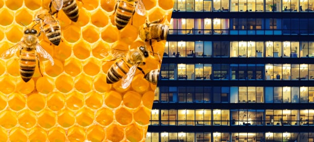 Accelerating sustainability through collaboration - related content thumbnail