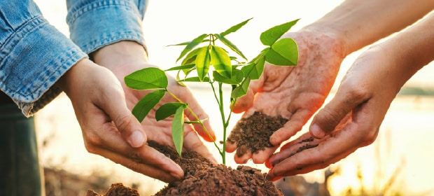 Towards Net Zero, Nature Positive, and Inclusive Growth